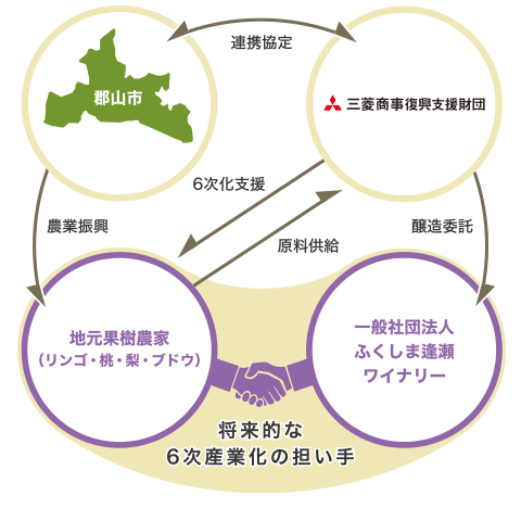 これまでの事業の全体像